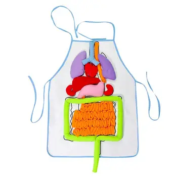Фартук Из Внутренних Органов Человека Игрушки Анатомический Фартук Анатомические Формы Органов 3D Фартук Из Органов Научная Модель Человеческого Тела Для Обучения Детей